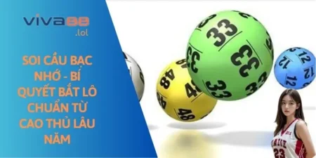 soi-cau-bac-nho